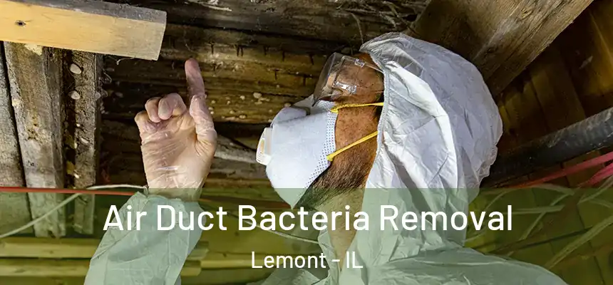  Air Duct Bacteria Removal Lemont - IL