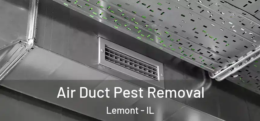  Air Duct Pest Removal Lemont - IL