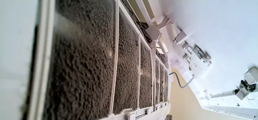 Preventive Air Duct Bacteria Removal in Lemont