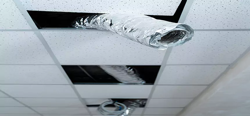 Affordable HVAC Sanitizing After Pest Removal in Lemont