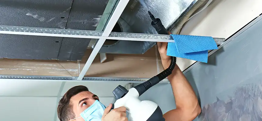 Our Air Duct Rodent Removal Services in Lemont, IL