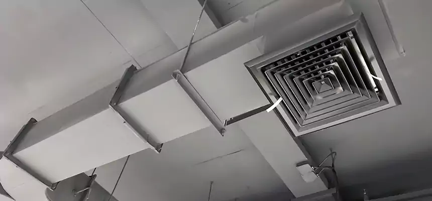 Restorative Allergy Relief Vent Cleaning – Coil, Blower & Housing Detail in Lemont