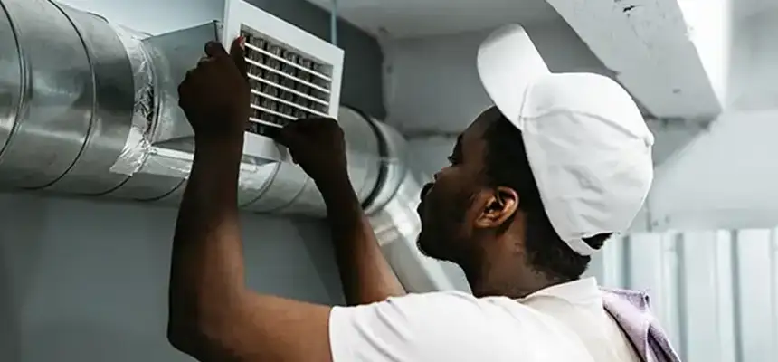 Our Licensed And Insured Cleaners in Lemont, IL