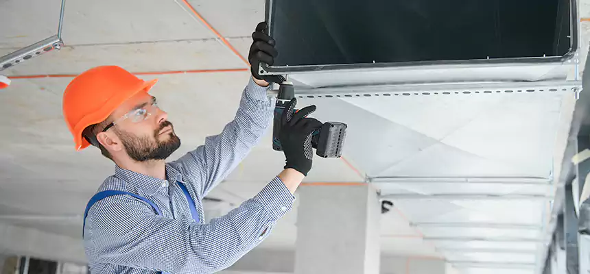 Roof Cap & Exterior Hood Lint Buildup Removal – Lemont