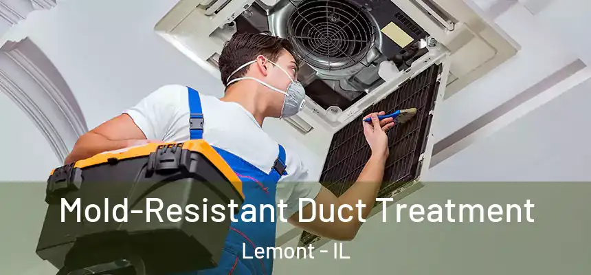  Mold-Resistant Duct Treatment Lemont - IL