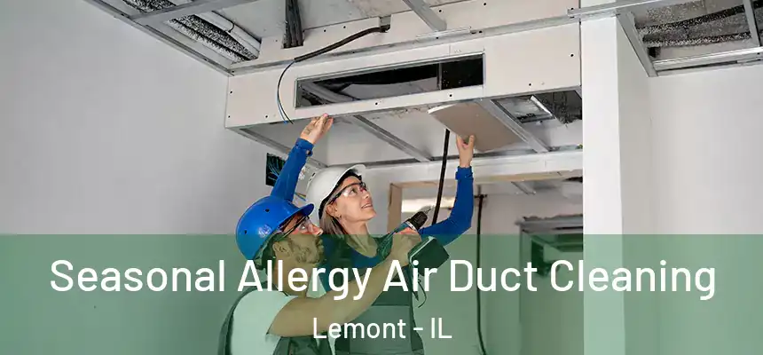  Seasonal Allergy Air Duct Cleaning Lemont - IL