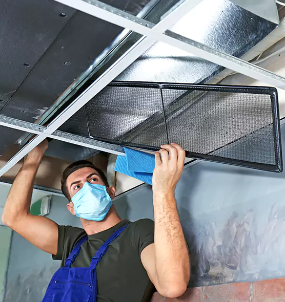 About Air Duct Bacteria Removal in Lemont