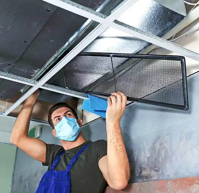 Why Homeowners Businesses Trust Us in Lemont, IL